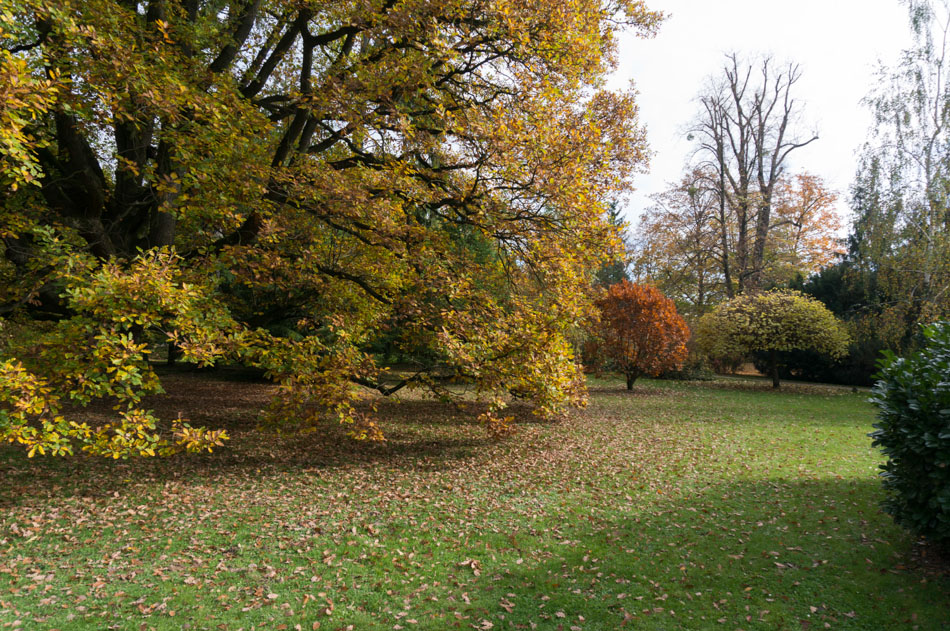 <br>Barvy podzimu ve vstupním parku ZOO Lešná