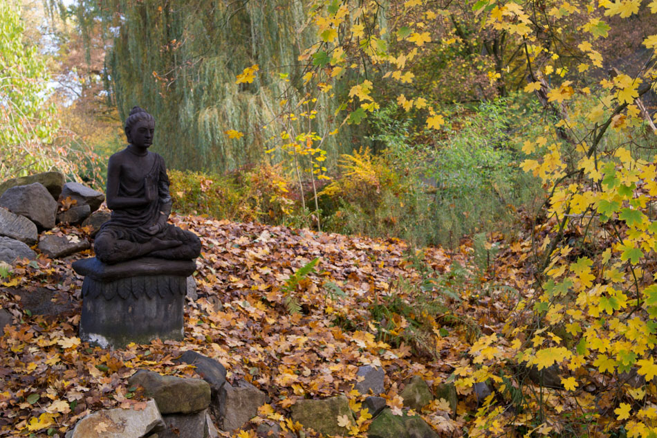 <br>Podzimní meditace