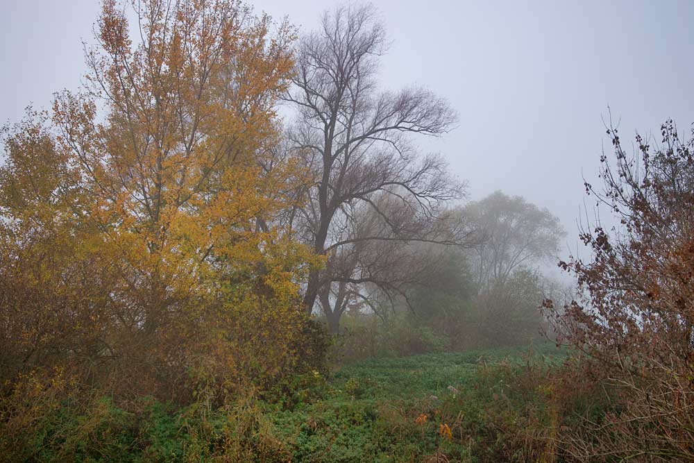  Když mlha s barvami malují podzim