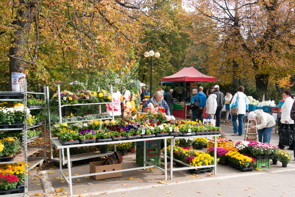 <br>Květiny na trhu u parku